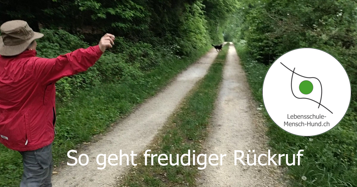 Freudiger So geht freudiger Rückruf - Der richtige Aufbau im Welpenalter ...