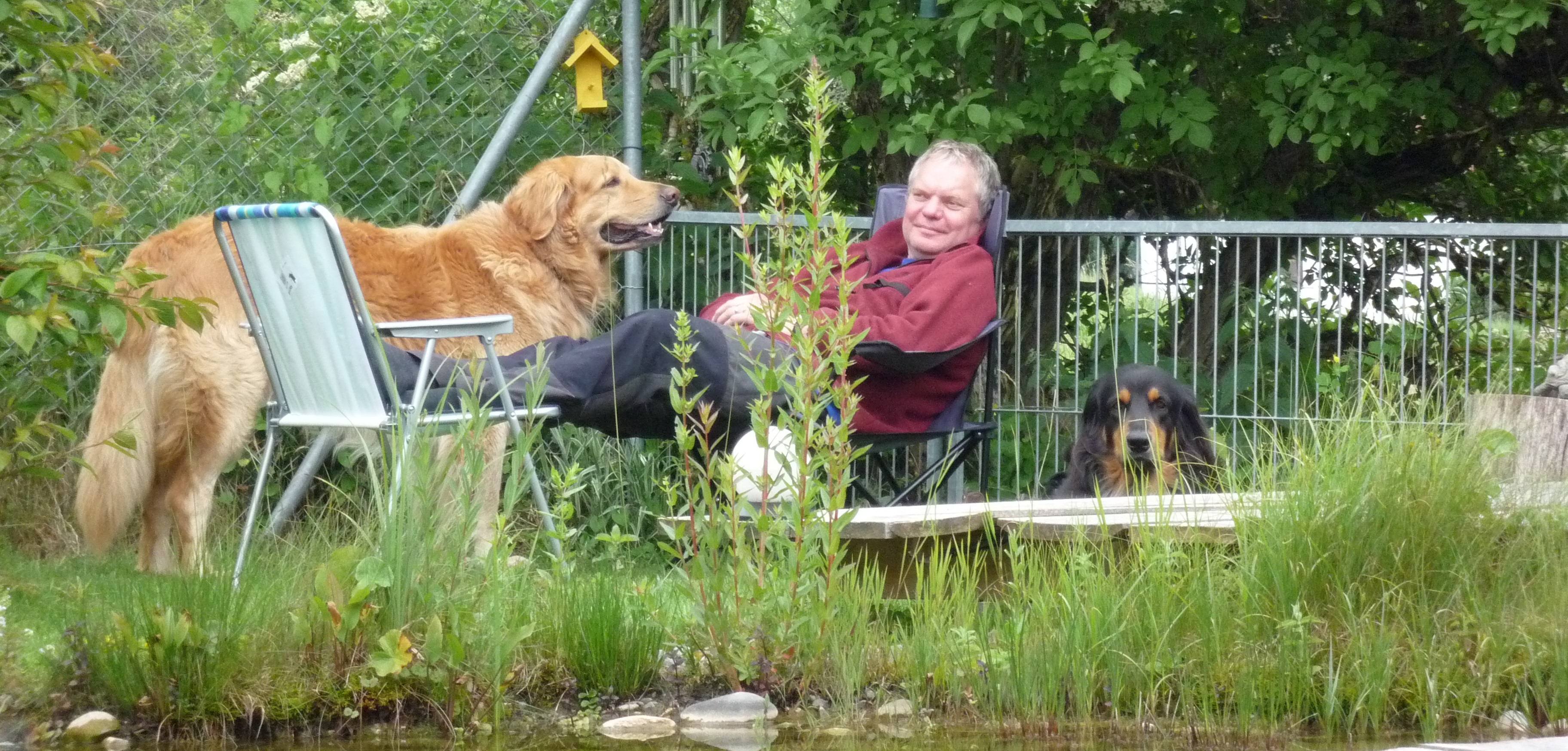 Der Trainer der Hundeschule und seine Hunde entspannen in einer Pause, zwischen Einzelcoaching mit deinem Hund. Privatstunde erteilen ist sehr erfüllend. 